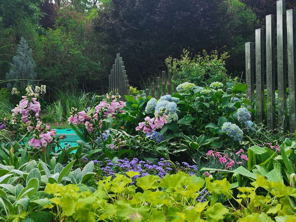 PT��Ѷ|һ������