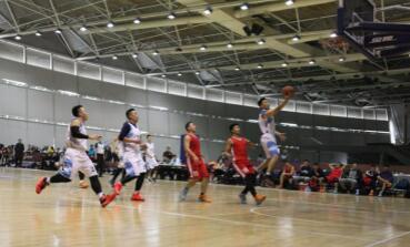 PT��Ѷ|һ������