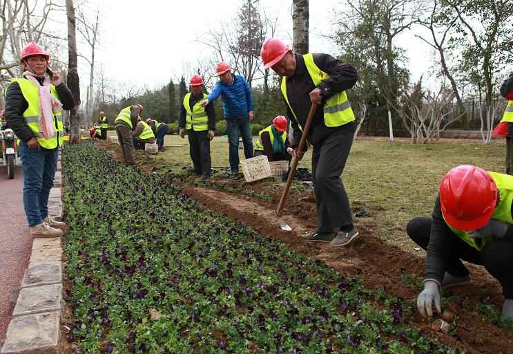 PT��Ѷ|һ������