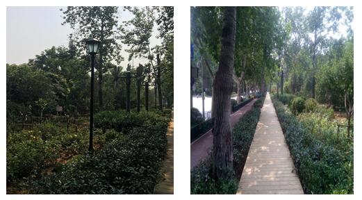 PT��Ѷ|һ������