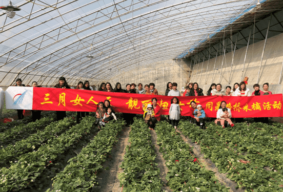 PT��Ѷ|һ������