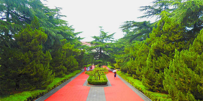 PT��Ѷ|һ������