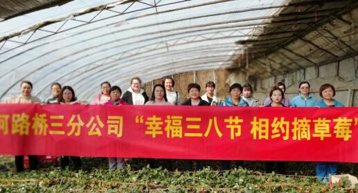 PT��Ѷ|һ������