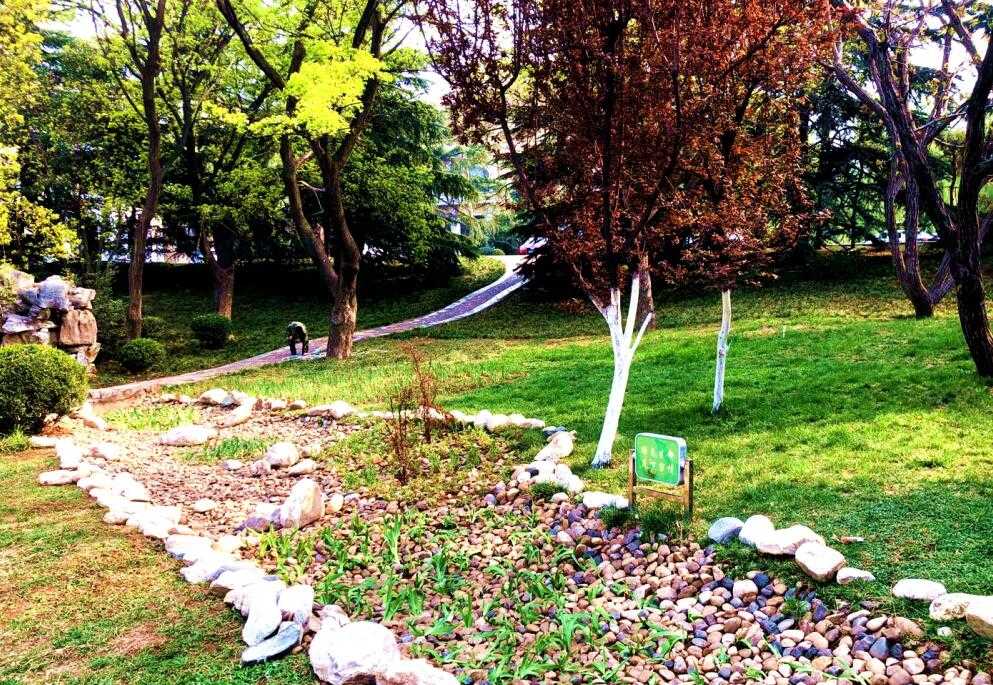 PT��Ѷ|һ������