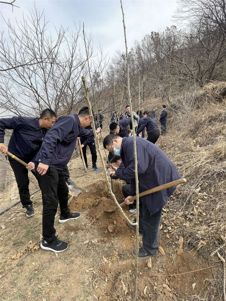 PT��Ѷ|һ������