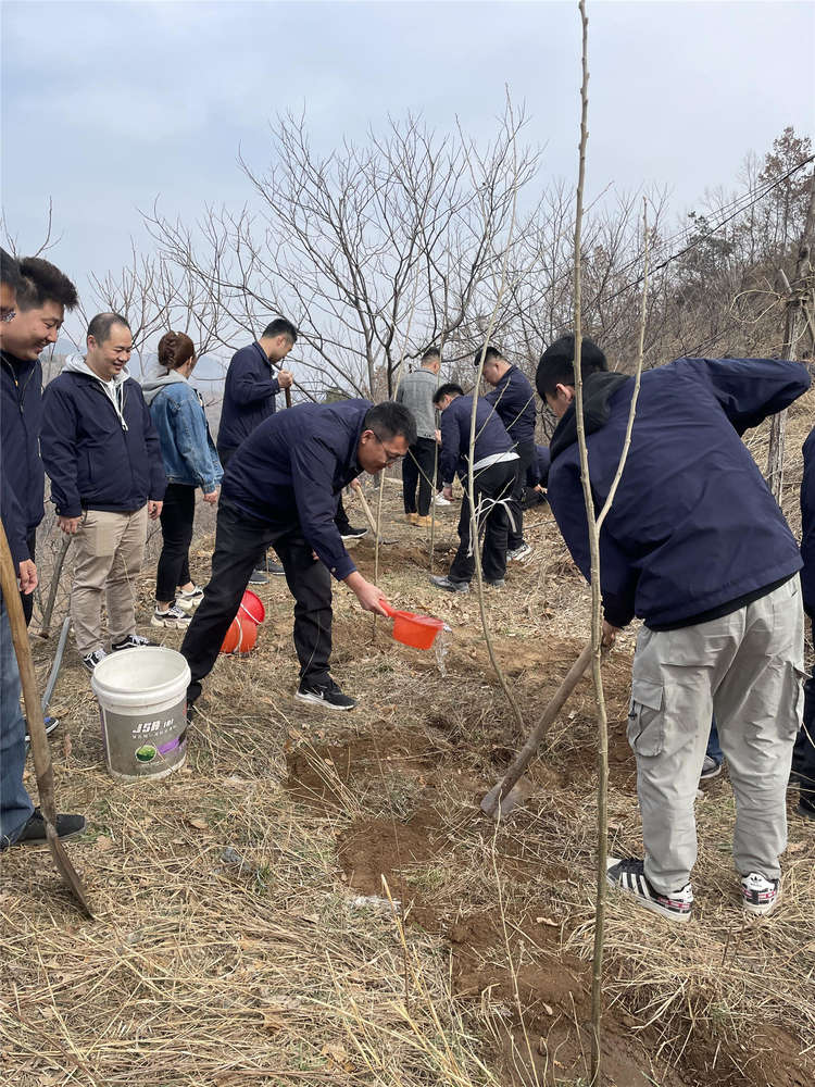 PT��Ѷ|һ������