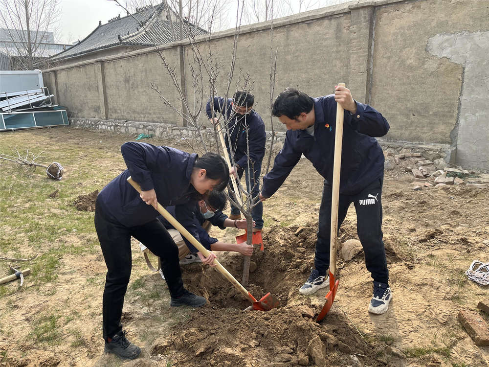 PT��Ѷ|һ������