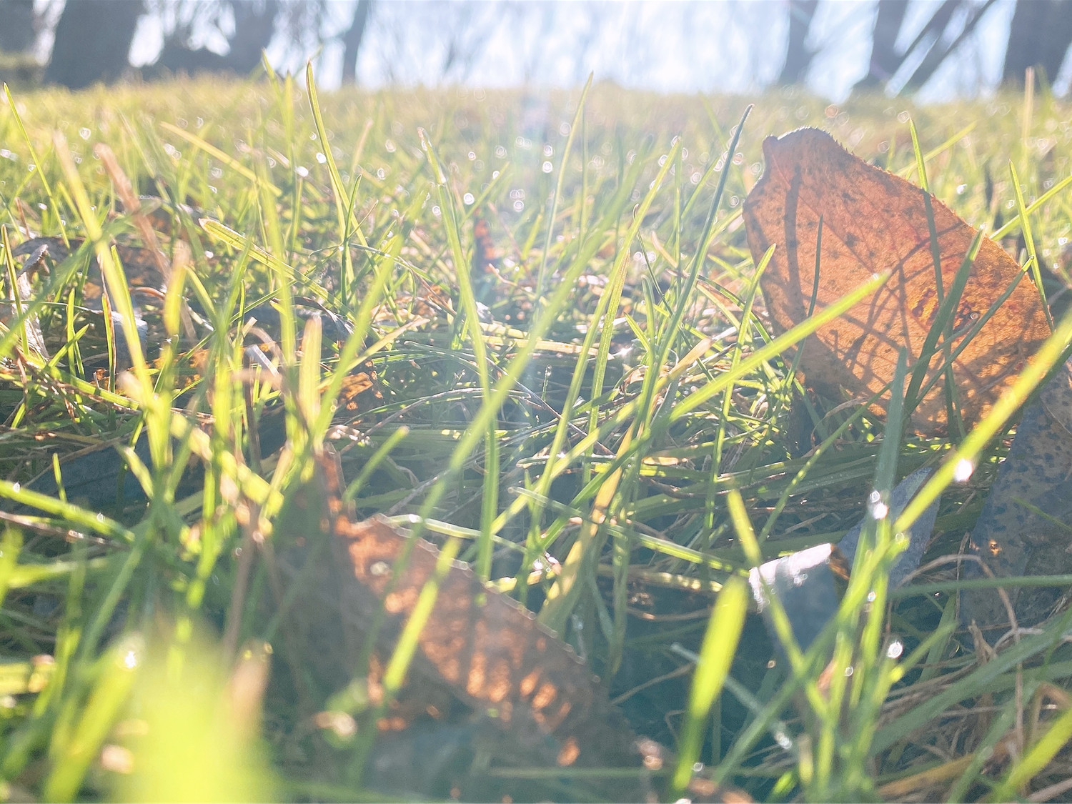 PT��Ѷ|һ������