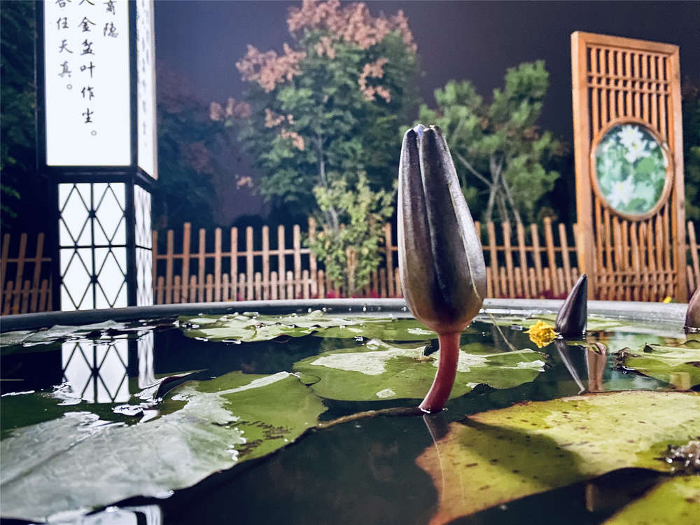 PT��Ѷ|һ������