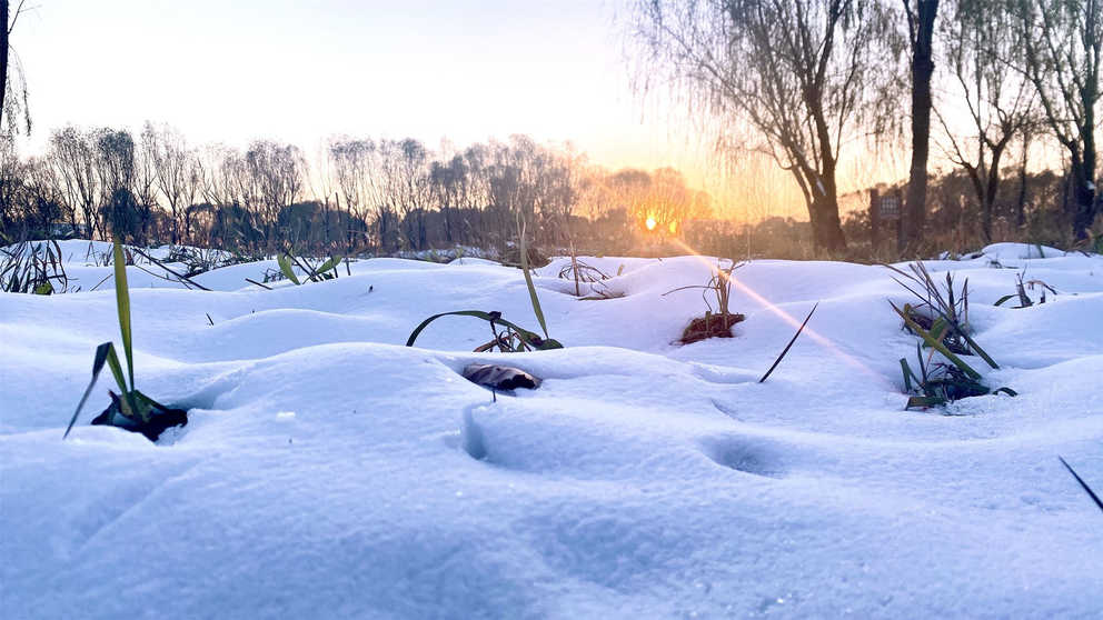 PT��Ѷ|һ������