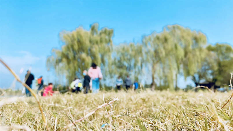 PT��Ѷ|һ������